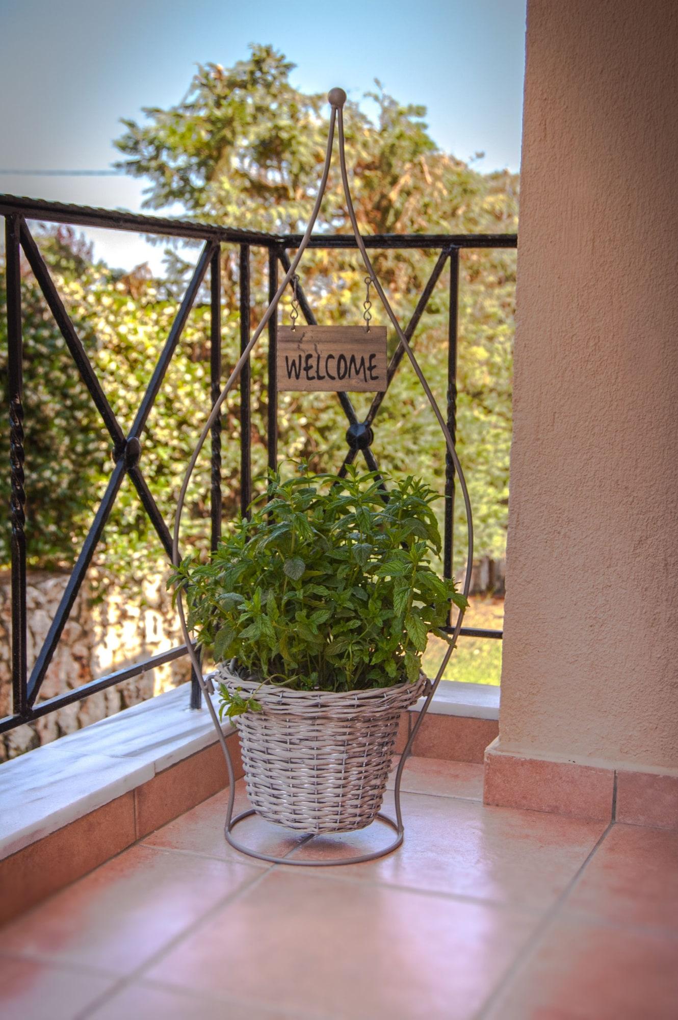 Kefalonia Houses アルゴストリオン エクステリア 写真